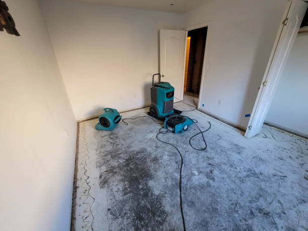 Best Flood damage cleanup  in Boulder Hl, IL
