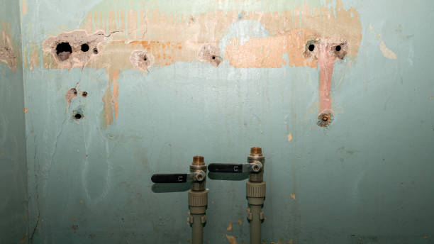 Best Water damage restoration near me  in Boulder Hl, IL