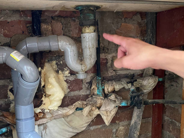 Best Flooded house restoration  in Boulder Hl, IL