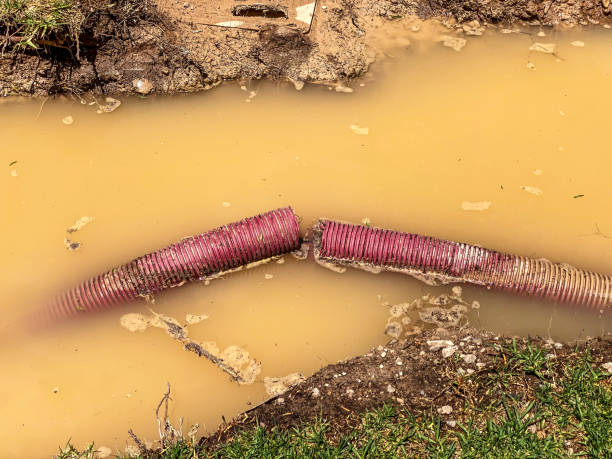 Best Water damage contractors near me  in Boulder Hl, IL