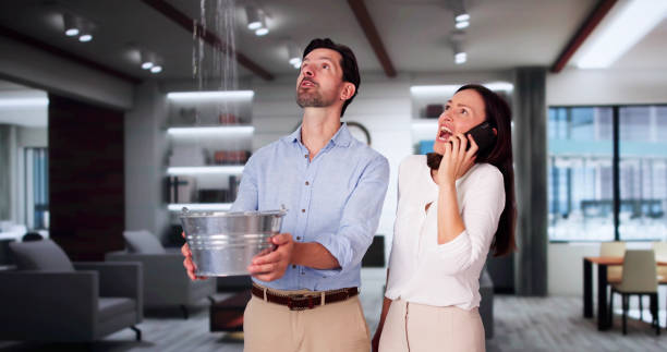  Boulder Hl, IL Water damage restoration Pros